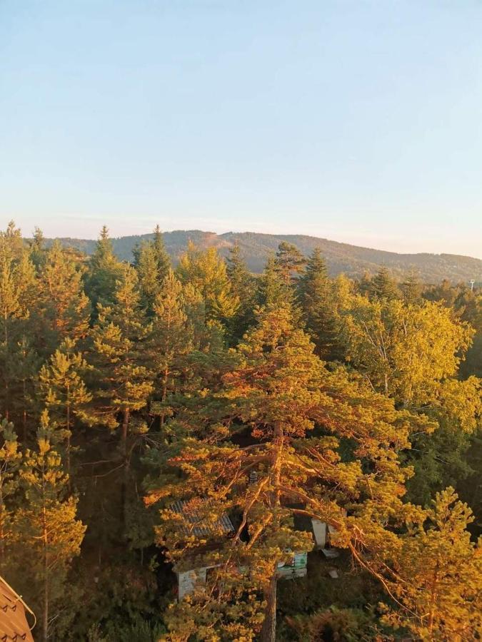 Divcibare Planinski Mir A19 Экстерьер фото
