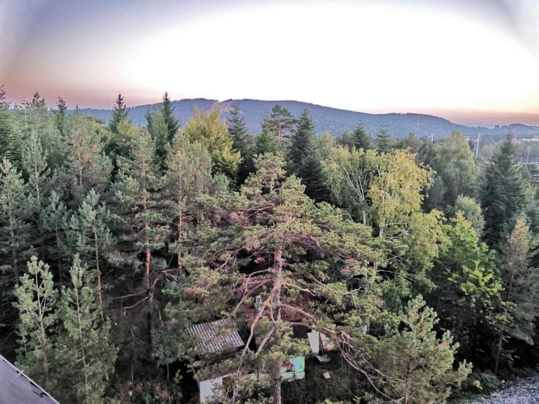 Divcibare Planinski Mir A19 Экстерьер фото